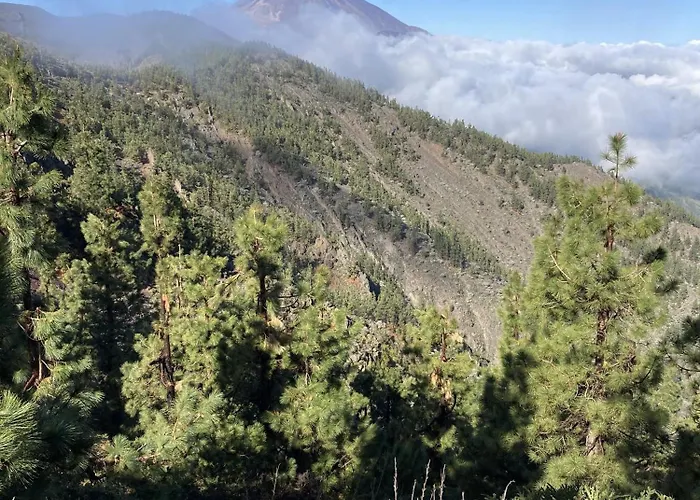 Casa Papaya Prázdninový dům El Médano