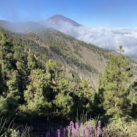 Casa Papaya 別荘 エル・メダノ