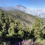 Casa Papaya Сasa de vacaciones El Médano